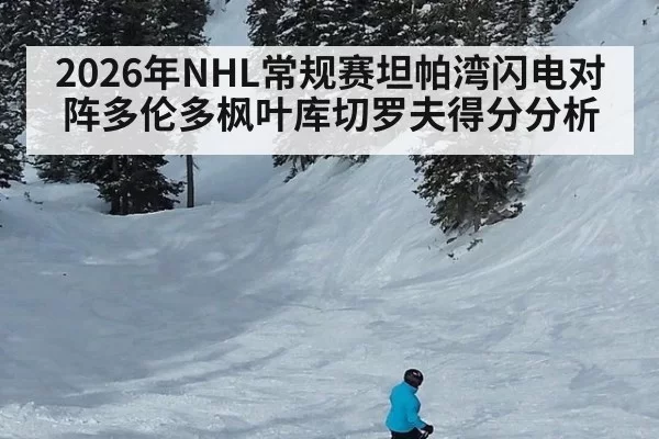 2026年NHL常规赛坦帕湾闪电对阵多伦多枫叶库切罗夫得分分析